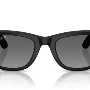 Ray-Ban Meta Wayfarer (Gen 2) RW 4012