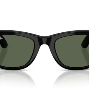 Ray-Ban Meta Wayfarer (Gen 2) RW 4012